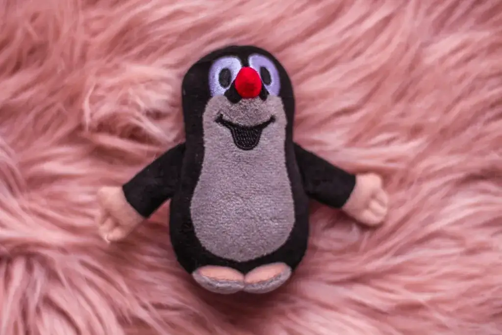 Zdjęcie Co warto przywieźć z Czech? Najlepsze pamiątki, które zachwycą