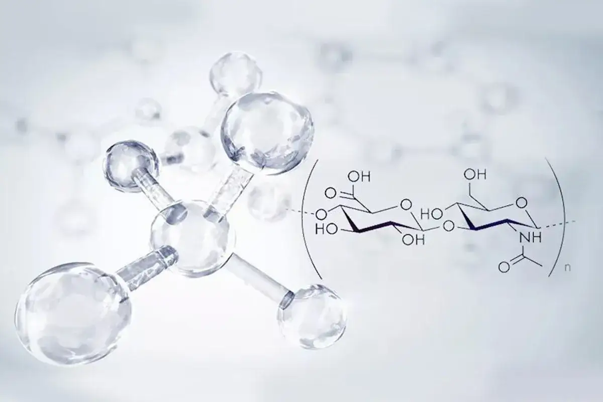Kwas hialuronowy budowa chemiczna