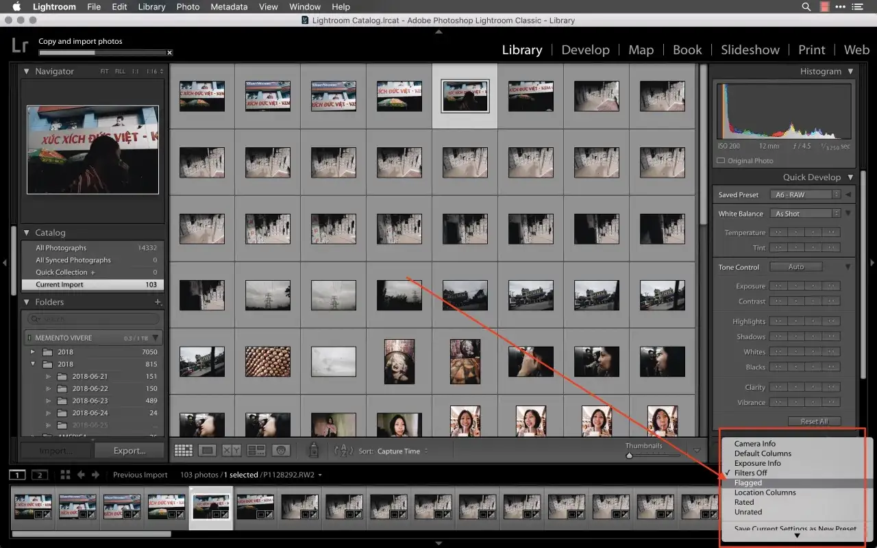 Program do katalogowania zdjęć Lightroom Classic. Widok siatki z miniaturami, panel katalogu i ustawień.
