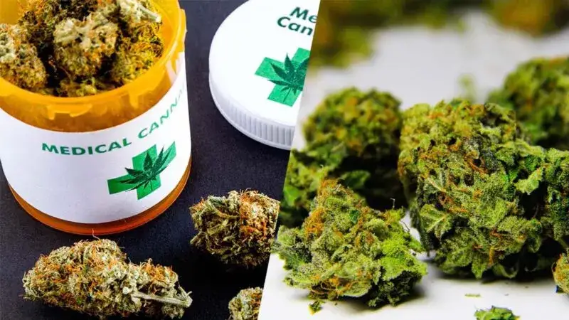 marihuana medyczna i rekreacyjna r&oacute;żnice