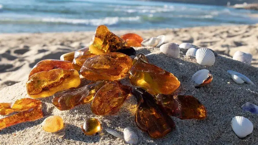 Bursztyn bałtycki znaleziony na plaży Zatoki Gdańskiej