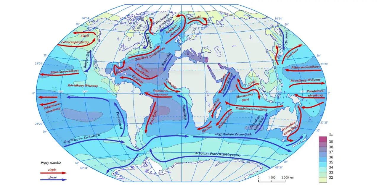 Mapa pokazuje prądy morskie, które pomagają zrozumieć, czy się rozni ocean od morza. Czerwone strzałki to ciepłe prądy, niebieskie to zimne.