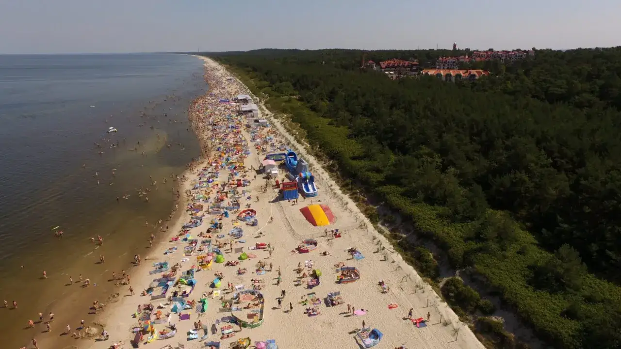 Tłok na plaży w Krynicy Morskiej, gdzie plażowicze odpoczywają i kąpią się w morzu. W tle las i zabudowania.
