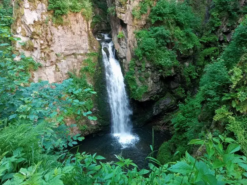 Zdjęcie Rezerwat Przyrody Wodospad Wilczki – wszystko, co musisz wiedzieć przed wizytą