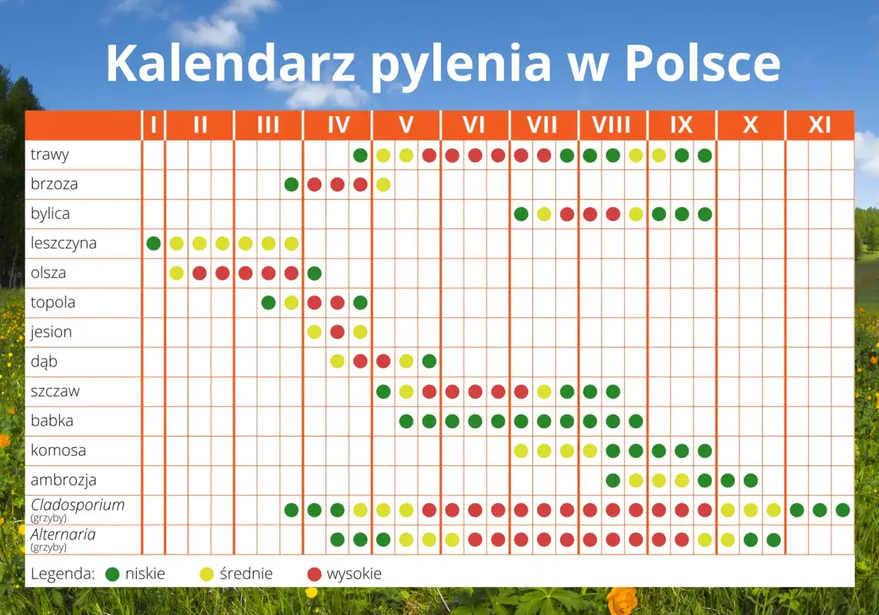 Kalendarz pylenia drzew Polska