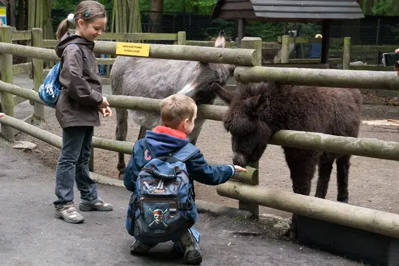 Krakowskie ZOO dla dzieci