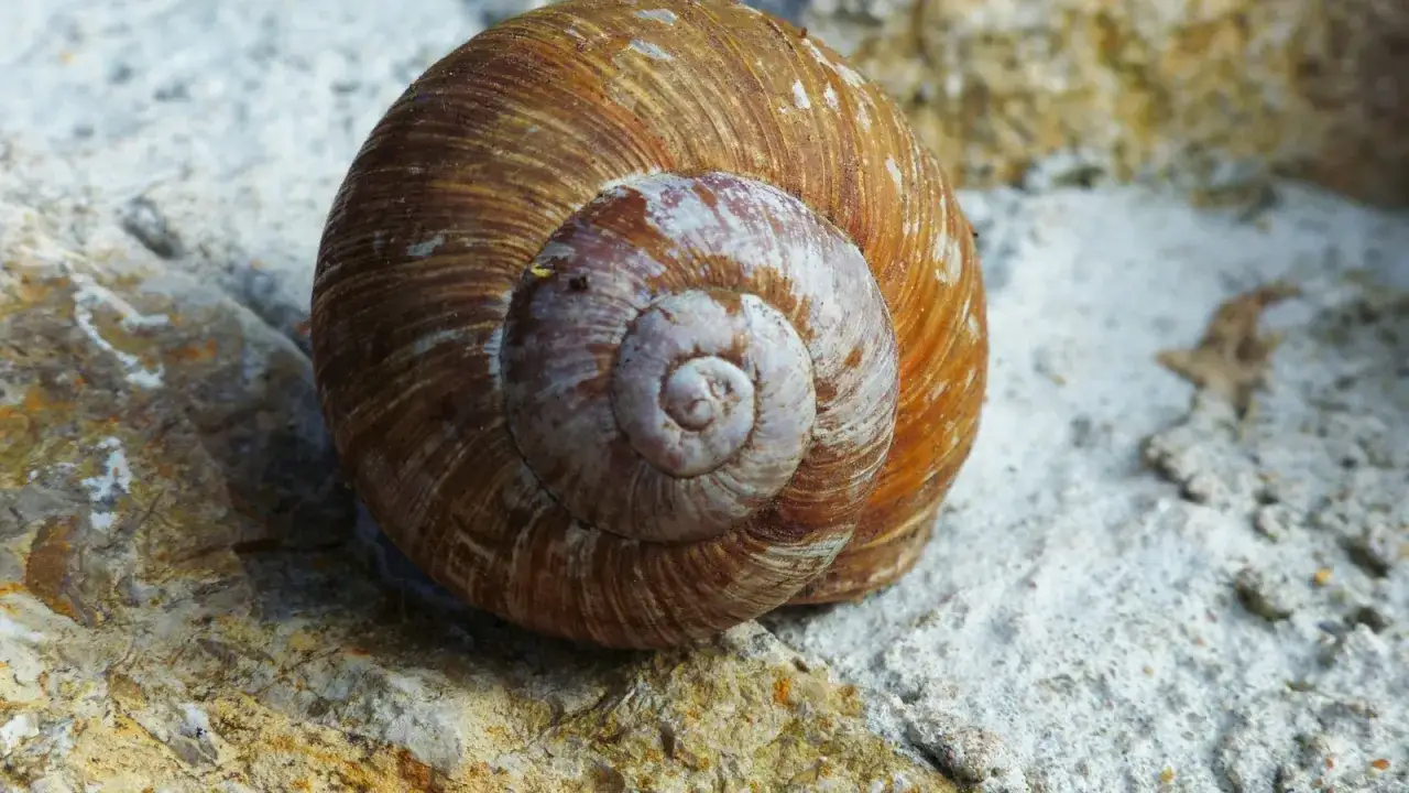 przyczyny osobowości unikającej dzieciństwo