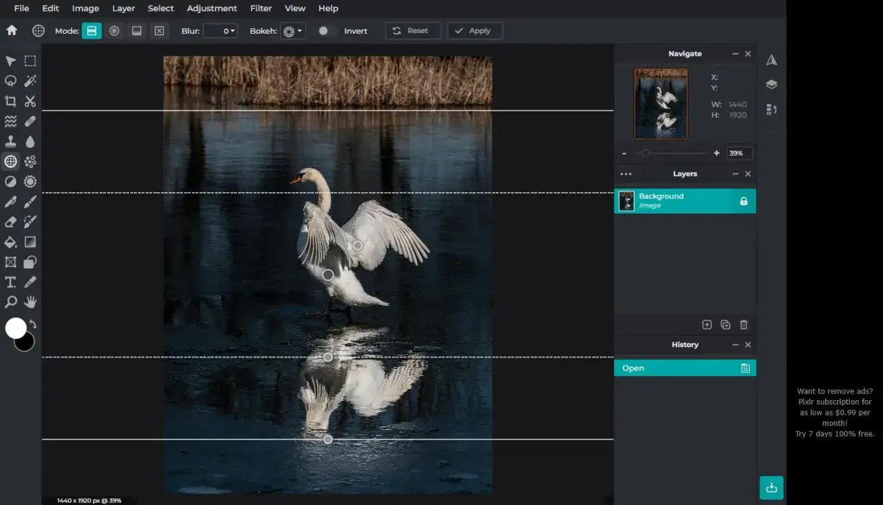 Darmowy program do obr&oacute;bki zdjęć na Maca. Edytuj zdjęcie łabędzia na lodzie, korzystając z narzędzi warstw i nawigacji.