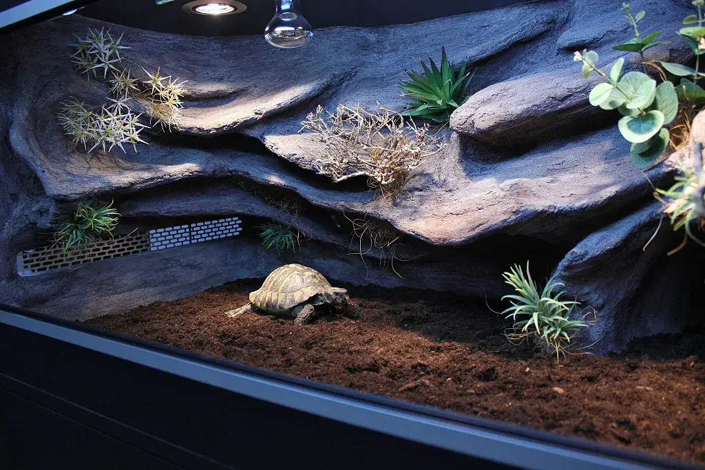 Terrarium dla ż&oacute;łwia greckiego z lampą UVB i wyspą ciepła