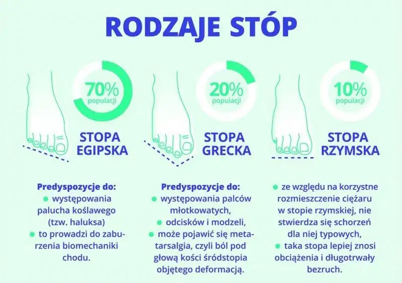 typy stóp egipska grecka rzymska