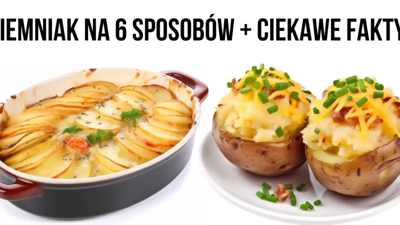 różne formy ziemniaków na talerzu porównanie