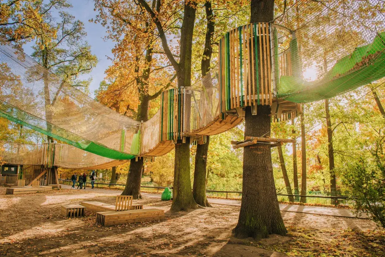 Mapa parków linowych Wrocław