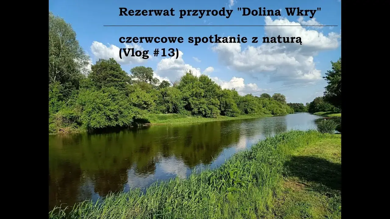 Zdjęcie Rezerwat Przyrody Dolina Wkry – co warto wiedzieć przed wizytą i jak uniknąć błędów