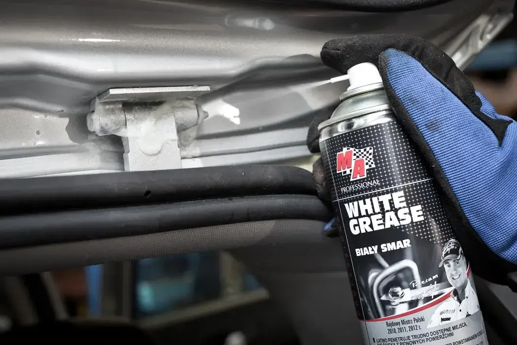 Zdjęcie Czym smarować zawiasy w drzwiach, aby uniknąć skrzypienia?