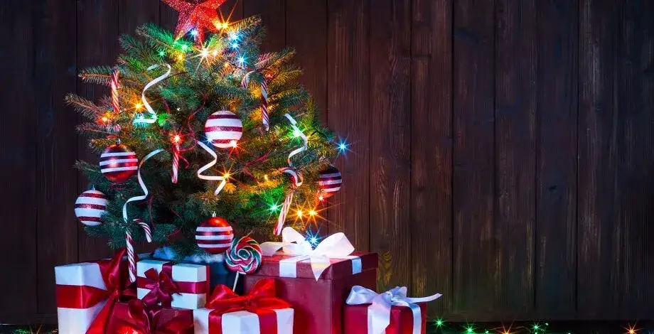 Zdjęcie Jak wyglądają święta w sanatorium? Odkryj wyjątkowe tradycje i atmosferę