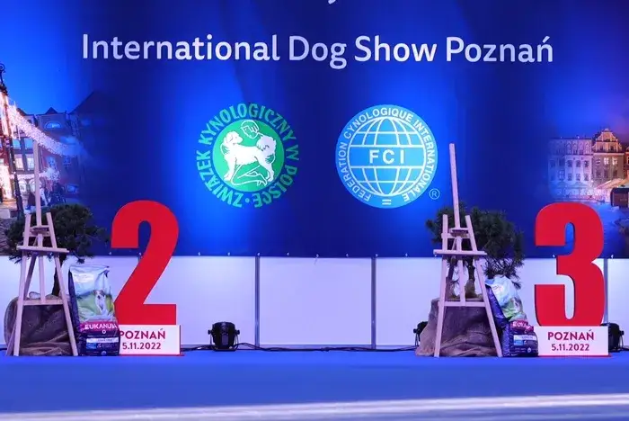 Zdjęcie Jak sprawdzić czy hodowla jest FCI i uniknąć oszustwa hodowlanego