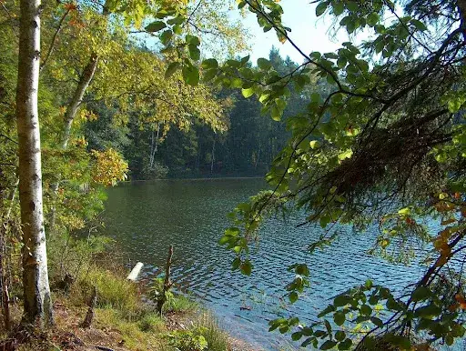 Zdjęcie Jezioro Dobre Pomorskie: idealne miejsce na wędkowanie i relaks