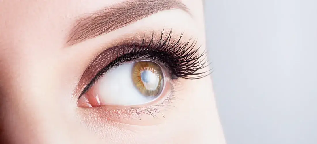 Zdjęcie Henna rzęs czy niszczy? Odkryj prawdę o bezpieczeństwie rzęs