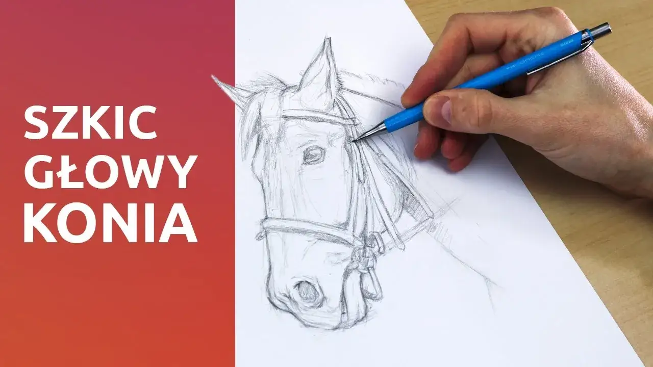 jak narysować głowę konia detale