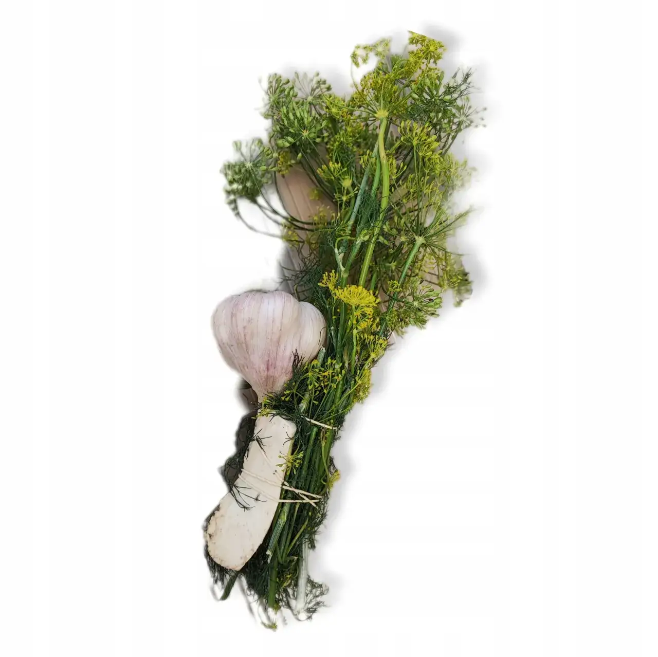 tradycyjne przyprawy do ogórków małosolnych koper czosnek chrzan