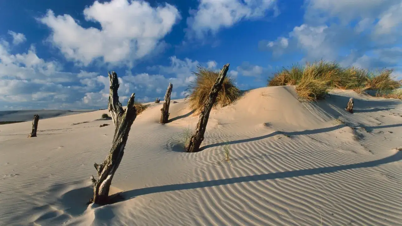 Ruchome wydmy Łeba Słowiński Park Narodowy