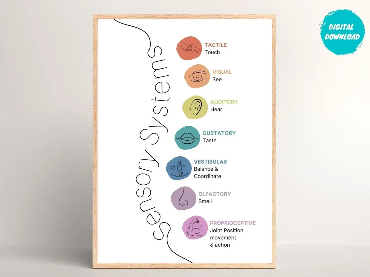 8 systemów sensorycznych infografika
