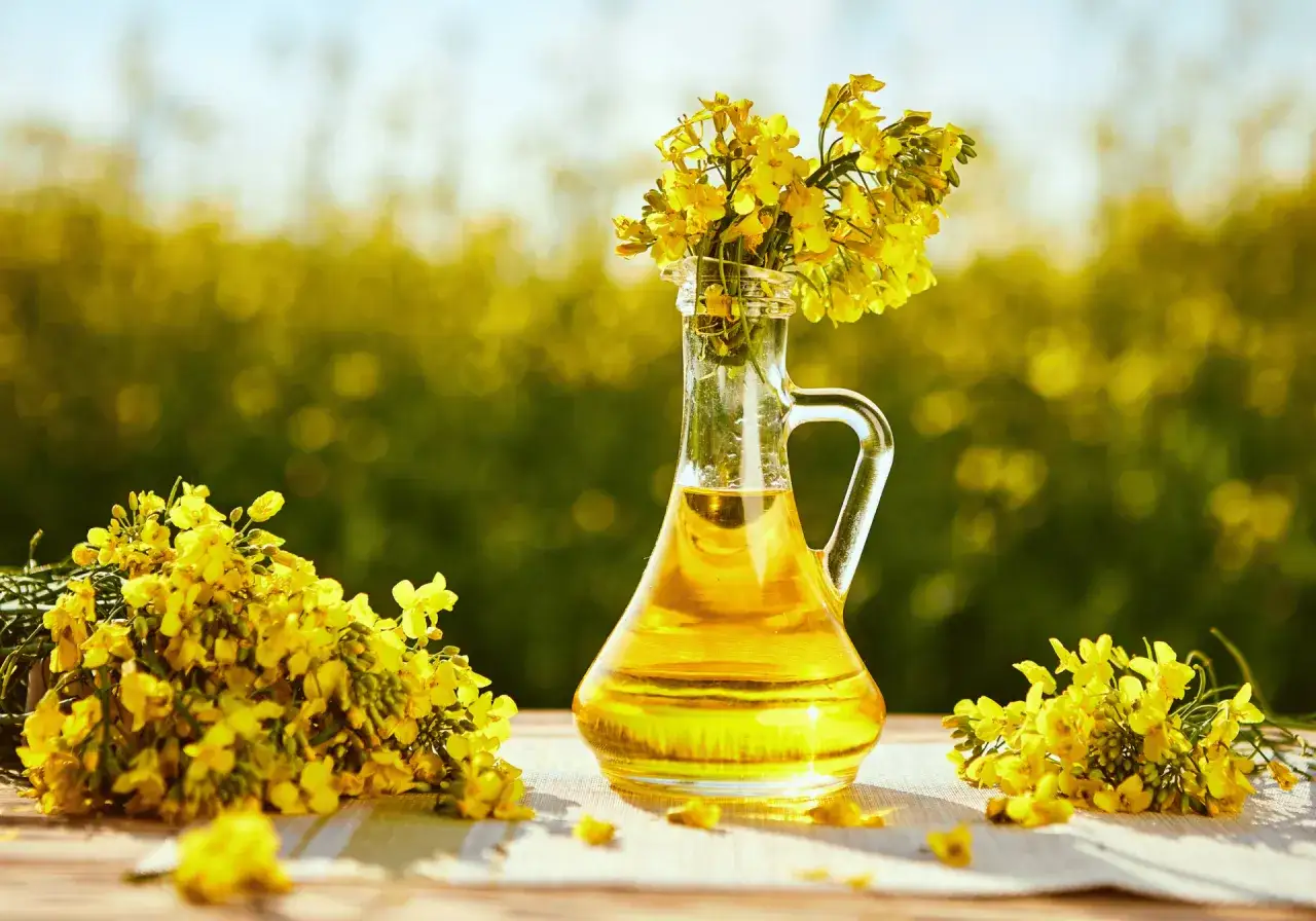 W karafce złoty olej rzepakowy, kt&oacute;ry jest olejem roślinnym, otoczony kwitnącym rzepakiem.