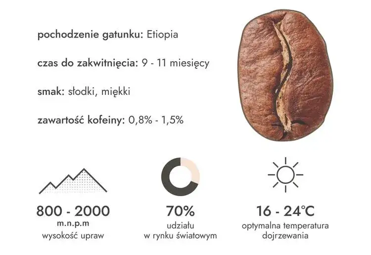Zdjęcie Co oznaczają ziarenka na opakowaniu kawy i jak wpływają na smak?