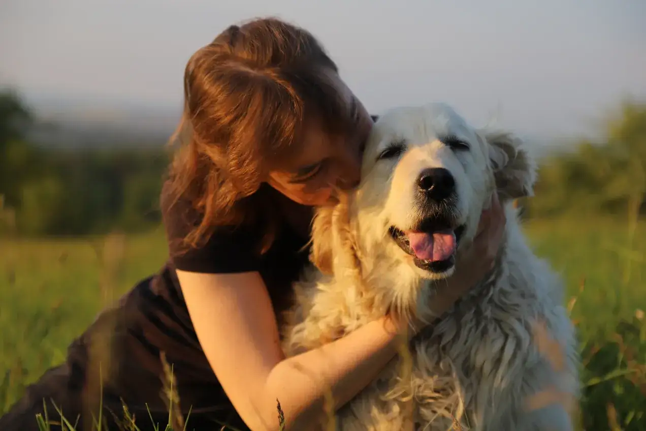 Kobieta tuli swojego szczęśliwego golden retrievera na łące.