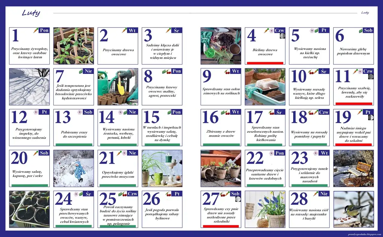 Kalendarz ogrodnika co kiedy sadzić: w lutym przycinamy drzewa, wysiewamy nasiona warzyw i zi&oacute;ł, przygotowujemy inspekt.