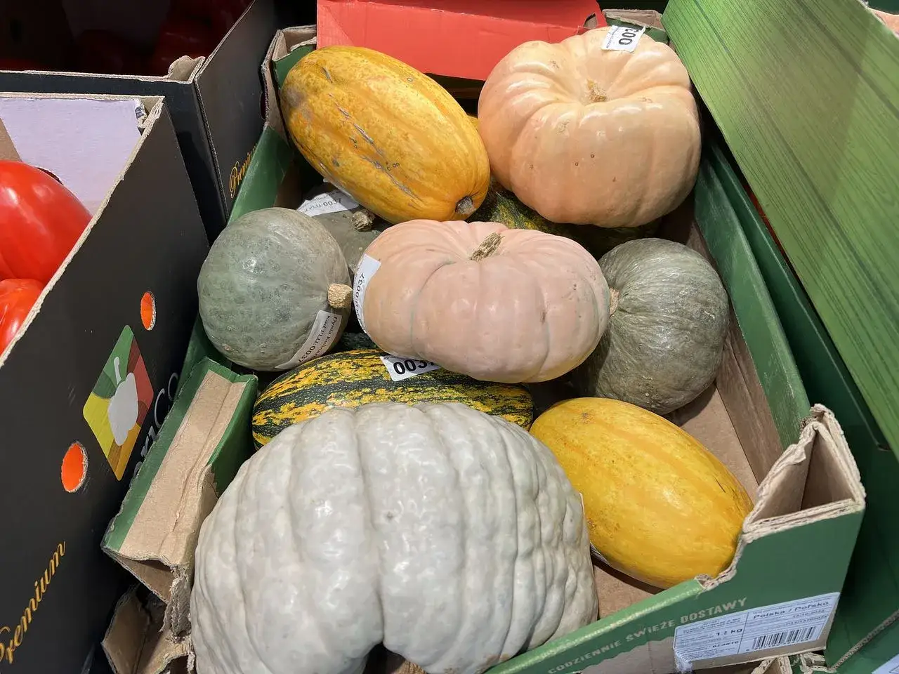 R&oacute;żnorodne dynie w skrzynce, idealne na jesienny sezon. Wśr&oacute;d nich biała, zielone, ż&oacute;łte i r&oacute;żowe odmiany.