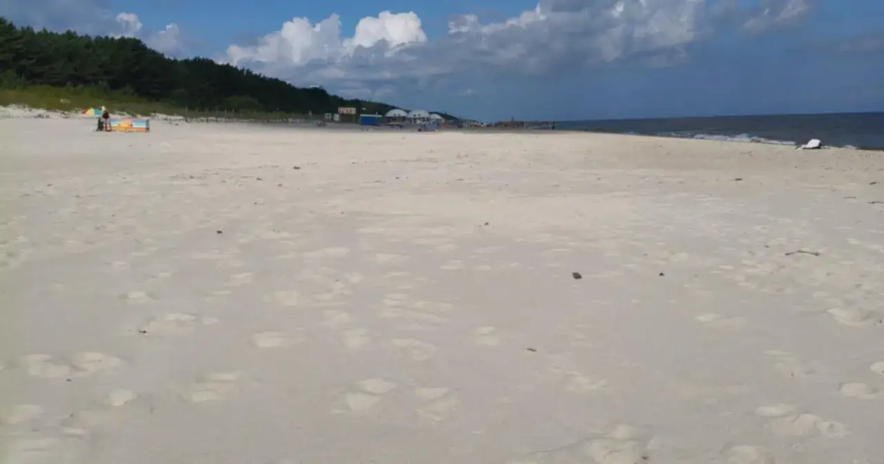 Plaża w Grzybowie, piasek, morze i las. Idealne miejsce na letnie atrakcje.