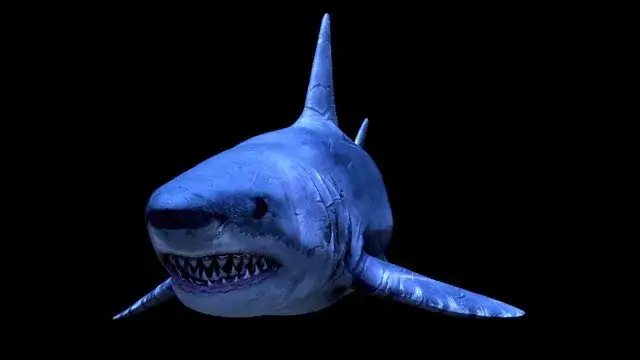prehistoryczne oceanarium 3D rekin megalodon