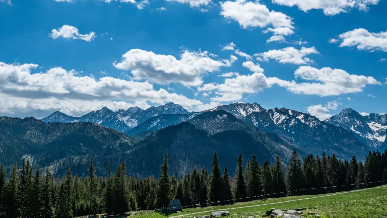 Widok na góry z lasem świerkowym i skalistym wierchem Poroniec Gęsia Szyja w tle.