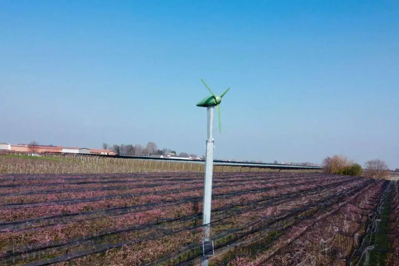 Niewielki wiatrak na tle kwitnącego sadu. Jego wysokość jest optymalna dla tej uprawy.