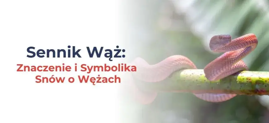 Węże w różnych kolorach symbolika snów