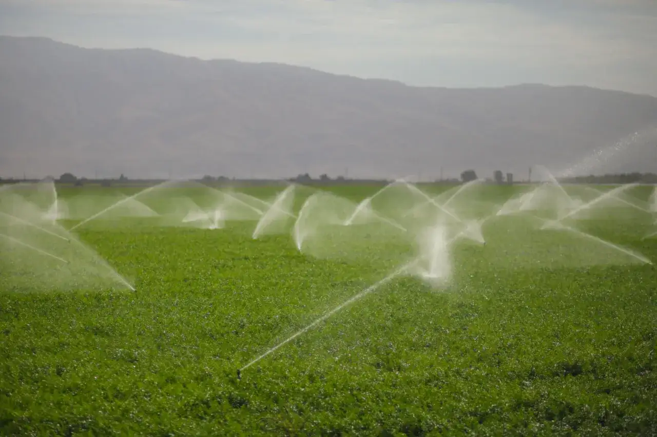 różne typy zraszaczy polowych w akcji