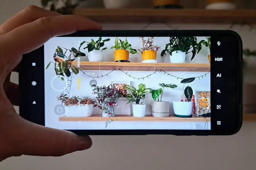 zdjęcie z siatką trójpodziału w smartfonie