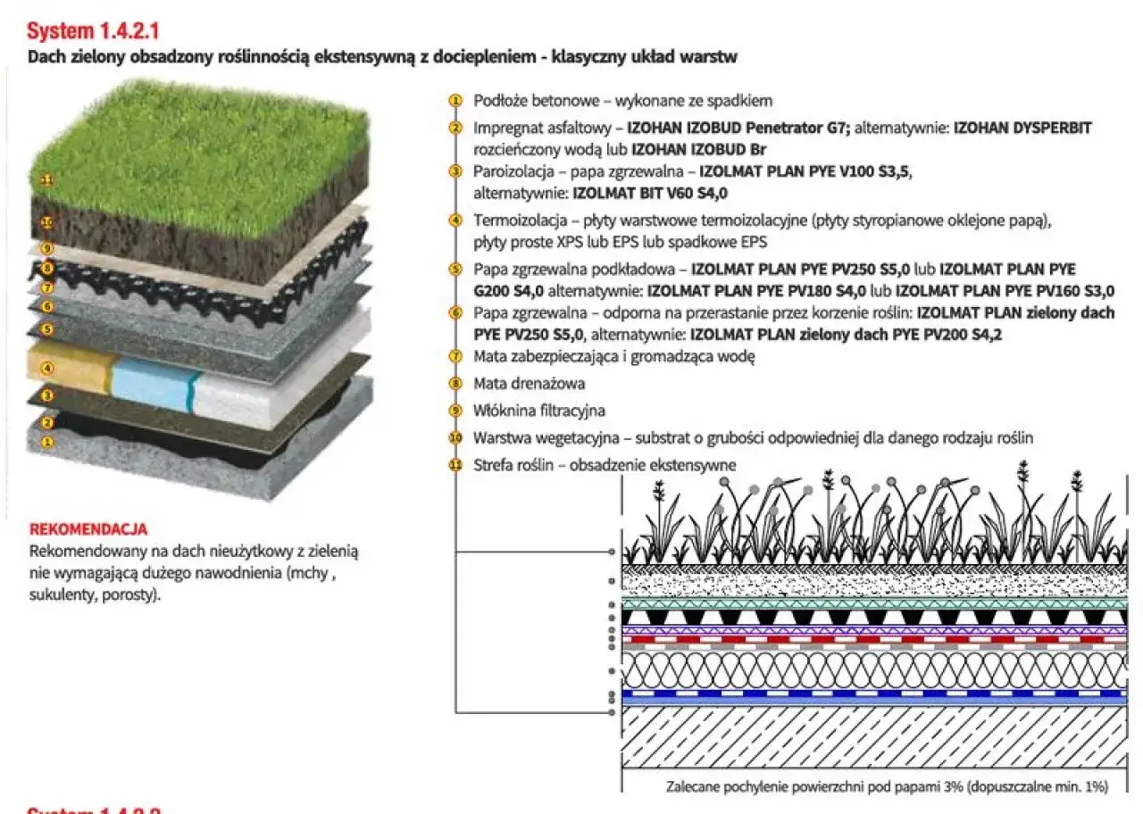 Warstwowy dach zielony z roślinnością ekstensywną, pokazujący układ warstw od podłoża betonowego po warstwę wegetacyjną.