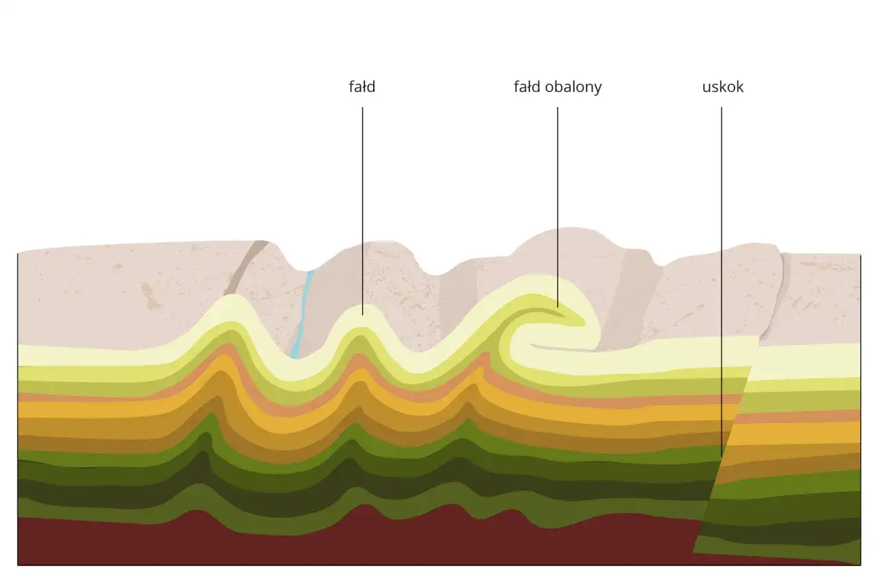 Przekrój geologiczny ukazujący fałdy i uskok. Czy Karpaty to góry zrębowe? Ten schemat pokazuje, że fałdowanie jest kluczowe.