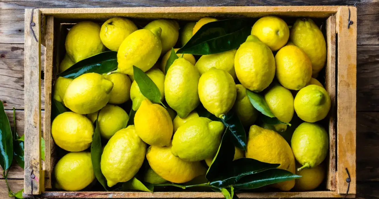 Skrzynka pełna soczystych cytryn, które mogą pomóc w pytaniu, czy cytryna obniża ciśnienie.