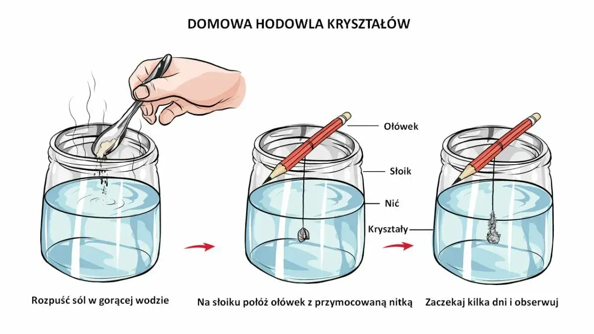 Hodowla kryształów soli dla dzieci