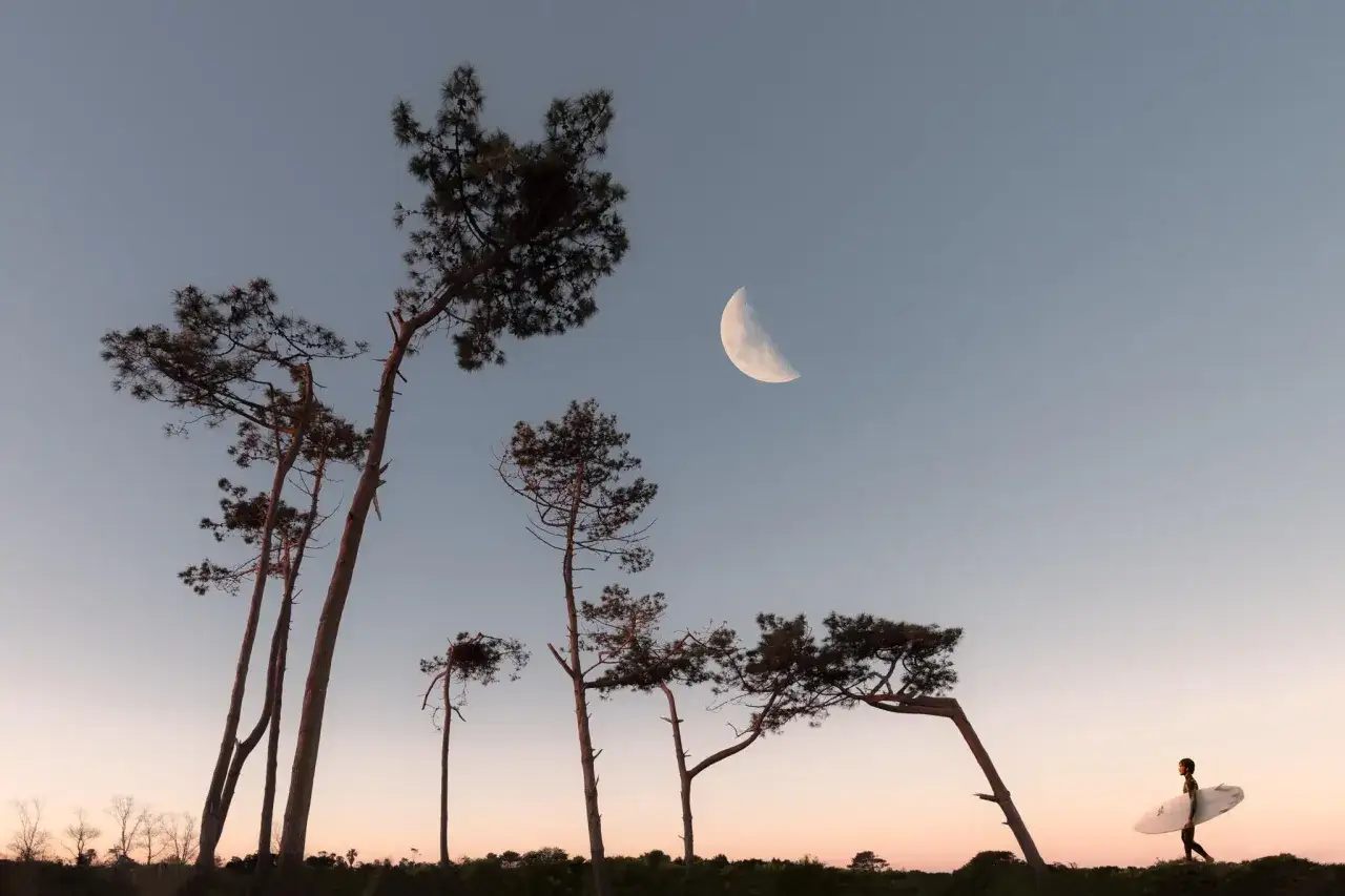 Sylwetka surfera z deską pod sierpem księżyca, wśr&oacute;d drzew. Idealne plany fotograficzne na zach&oacute;d słońca.