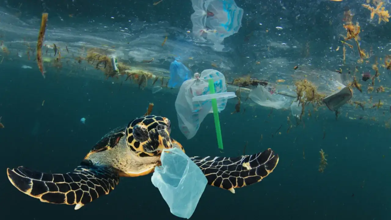 mikroplastik w oceanie