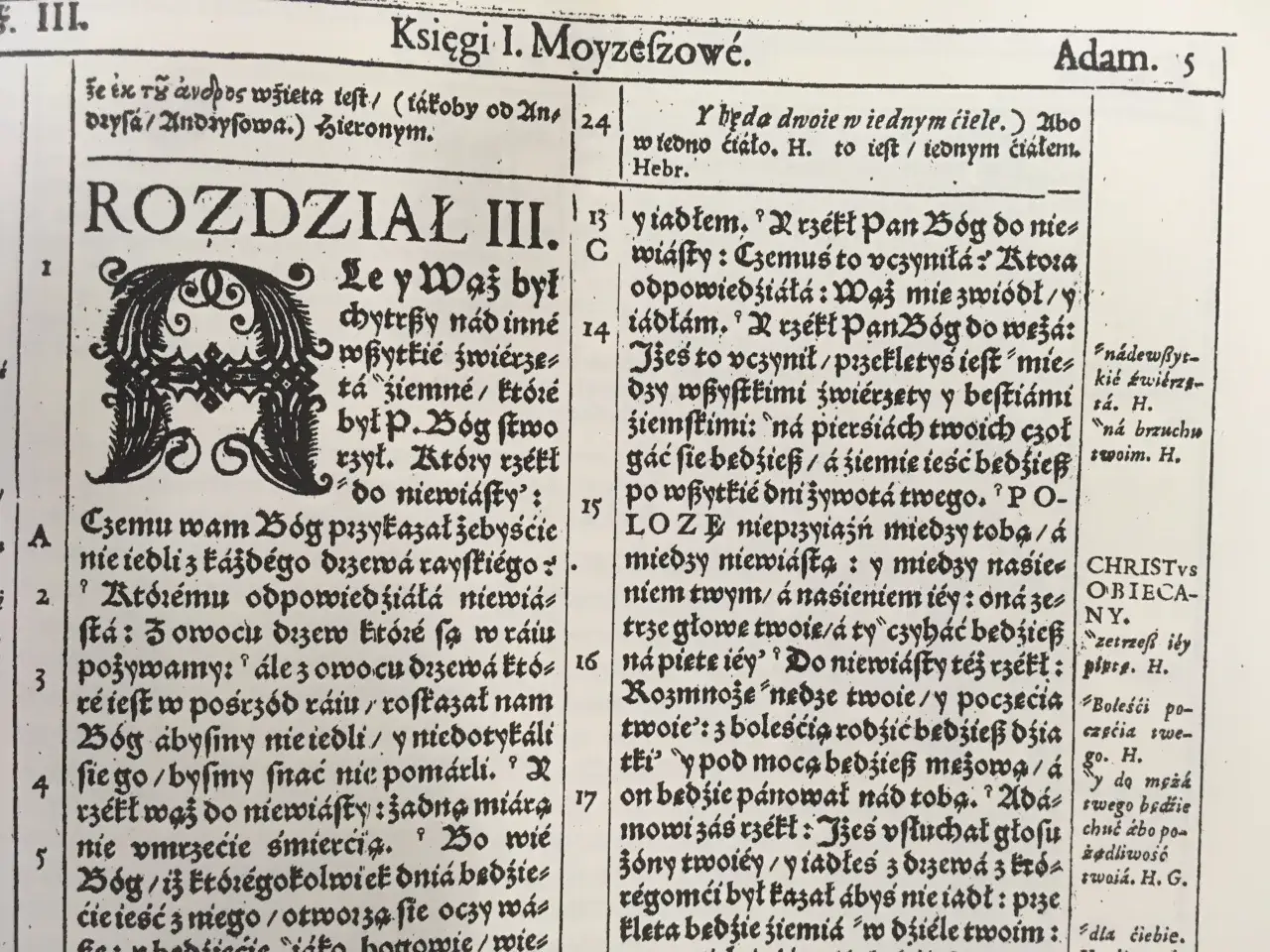 Strona z księgi, gdzie tekst wspomina o Hieronimie ze Strydonu, tłumaczu Biblii.
