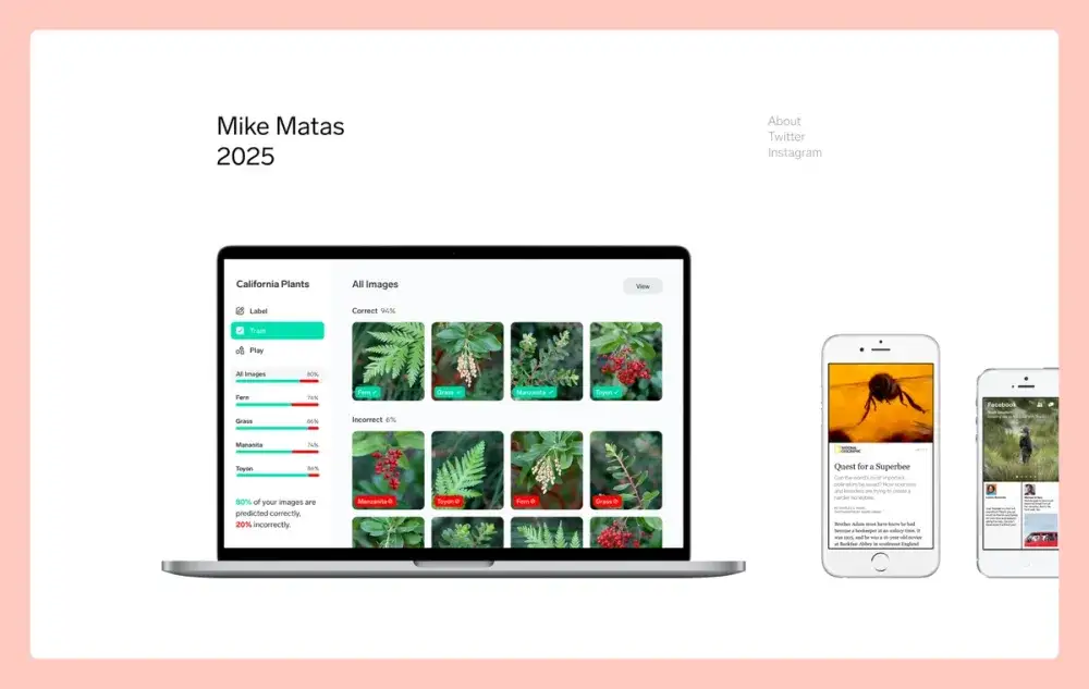 Przykładowe projekty portfolio AI