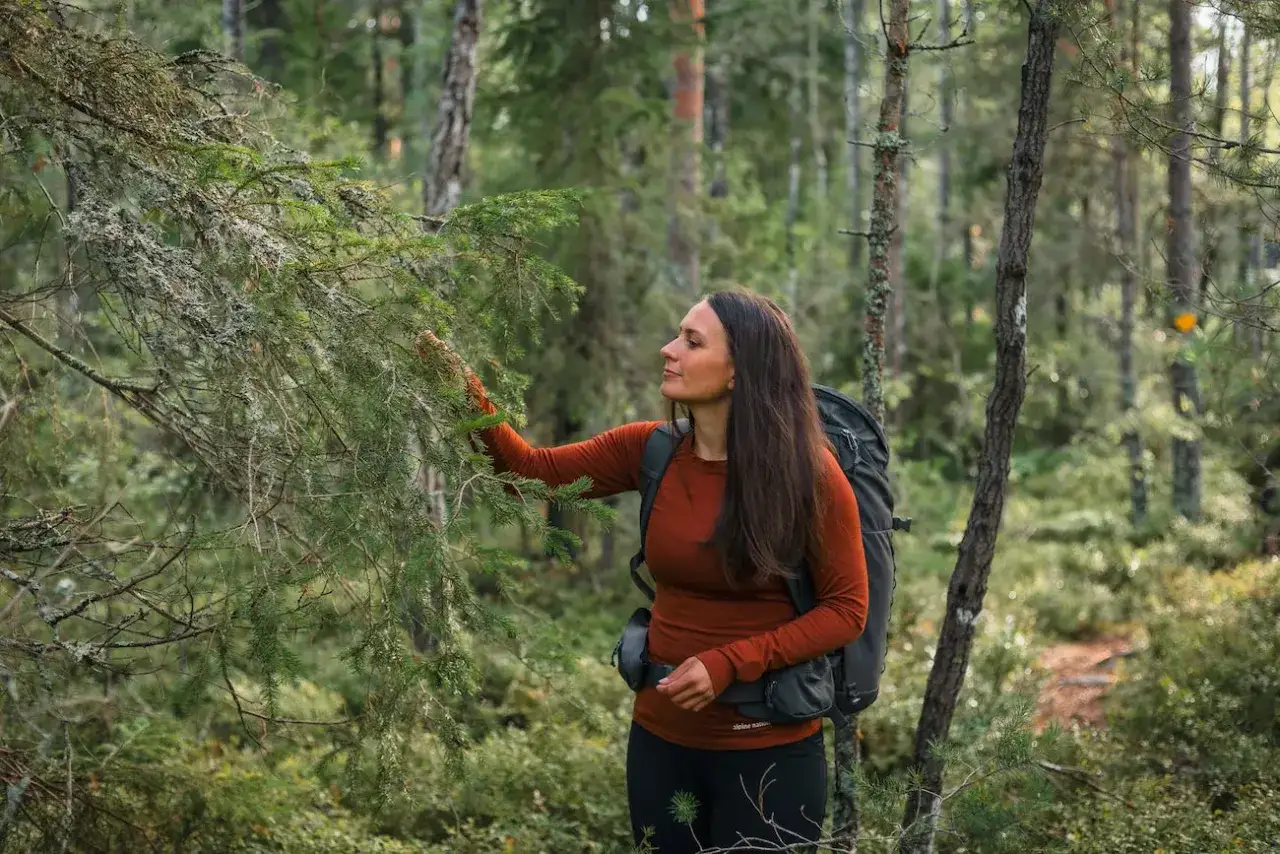 Kobieta w lesie dotyka gałęzi sosny, ubrana w ciepłą bluzkę z wełny z merynosa.