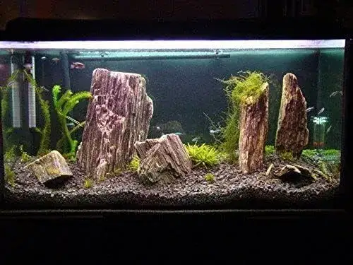 Akwarium morskie aranżacja skała piasek