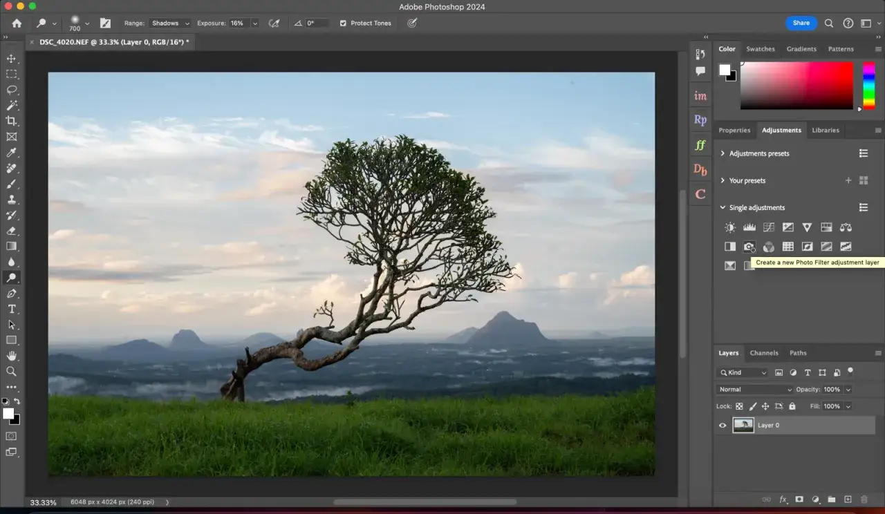 Kurs Photoshop: edycja malowniczego krajobrazu z drzewem i g&oacute;rami. Panel 