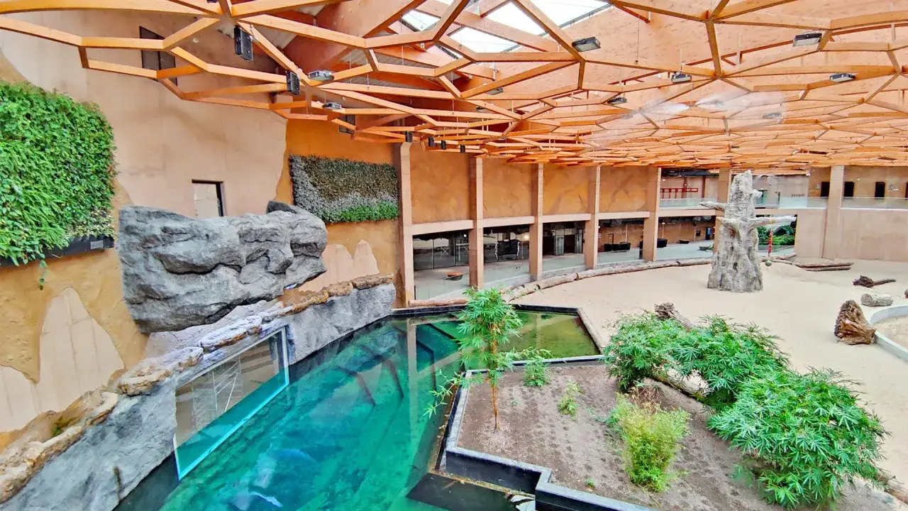 Wnętrze łódź orientarium z basenem, piaskiem i zielenią. Drewniany dach tworzy geometryczny wzór.